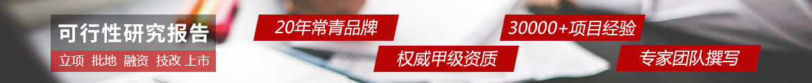 可行性研究报告