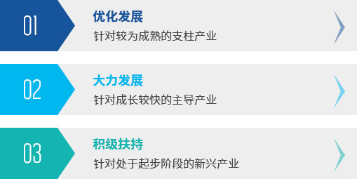 产业发展策略