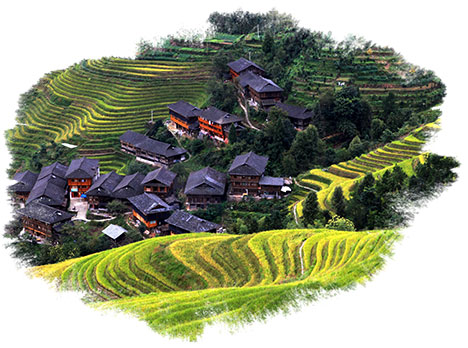 田园综合体